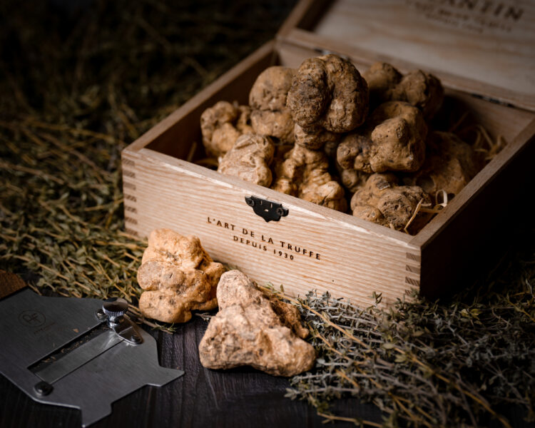 Alba White Truffle Tasting Dinner at The Mistral